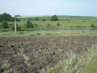 Кобилля з panoramio.com