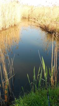 Селище з panoramio.com