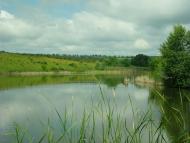 Березівка з panoramio.com