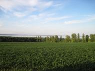 Бородаївські Хутори з panoramio.com