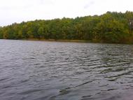 Ступаківка з panoramio.com