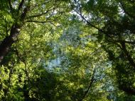 Польове з panoramio.com