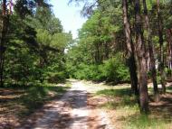 Черкаські Тишки з panoramio.com