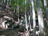 Польове з panoramio.com