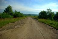 Ліс з panoramio.com