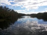 Шостакове з panoramio.com