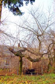 Великі Межирічі з panoramio.com