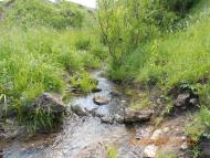 Паївка з panoramio.com