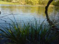 Вишняківка з panoramio.com