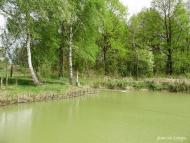 Ліски з panoramio.com