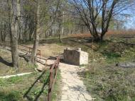 Мала Тур'я з panoramio.com