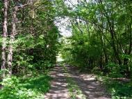 Іваньків з panoramio.com