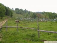 Річка з panoramio.com