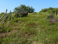 Чертеж з panoramio.com