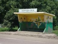 Бородаївка з panoramio.com