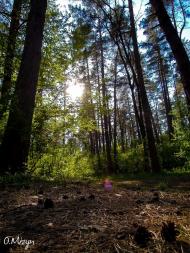 Калинівка з panoramio.com