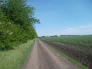 Грушівка з panoramio.com