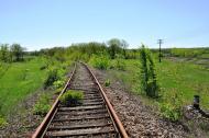 Новосімейкіне з panoramio.com