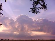 Чистопілля з panoramio.com