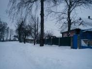 Березоточа з panoramio.com