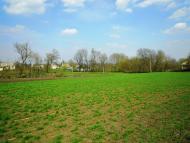 Сальниця з panoramio.com