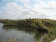 Єлизаветівка з panoramio.com