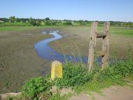 Кам'янече з panoramio.com