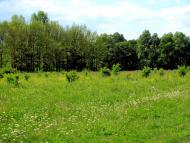 Дубровиця з panoramio.com