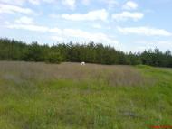 Борівське з panoramio.com