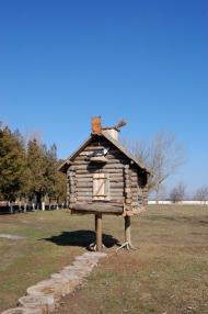 Новоолександрівка - Останні фото