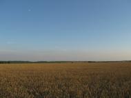 Чернецьке з panoramio.com