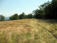 Вучкове з panoramio.com