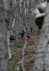 Польове з panoramio.com