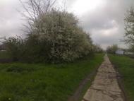 Чистопілля з panoramio.com