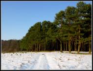 Литовеж з panoramio.com