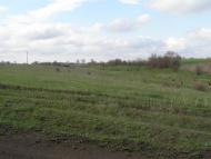 Червоний Кут з panoramio.com