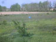 Мілове з panoramio.com