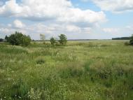 Скрипчин з panoramio.com