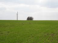 Грушівка з panoramio.com