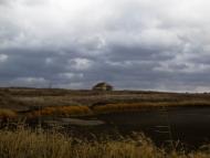 Нова Зоря з panoramio.com