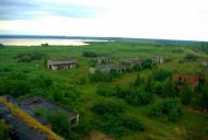 Ліс з panoramio.com