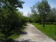 Пляхова з panoramio.com