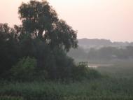 Зелене з panoramio.com