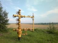 Ковиничі з panoramio.com