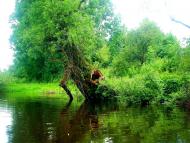 Кропивня з panoramio.com