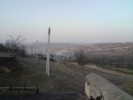 Нові Трояни з panoramio.com