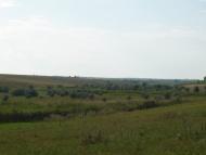 Шевченкове з panoramio.com