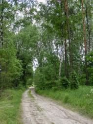 Розсудів з panoramio.com