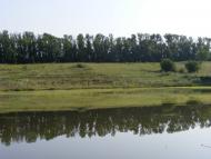 Ближнє з panoramio.com