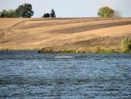 Вочківці з panoramio.com